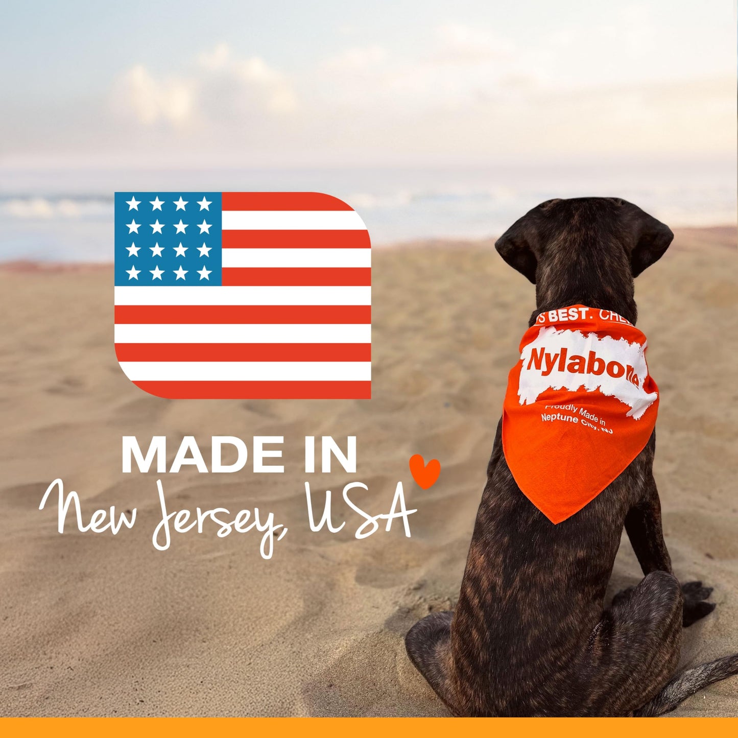Nylabone Original Bone Power Chew Toy for Dogs, Durable Dog Toys for Aggressive Chewers, Peanut Butter Flavor, Small - Up to 25 Ibs, 3 Pack