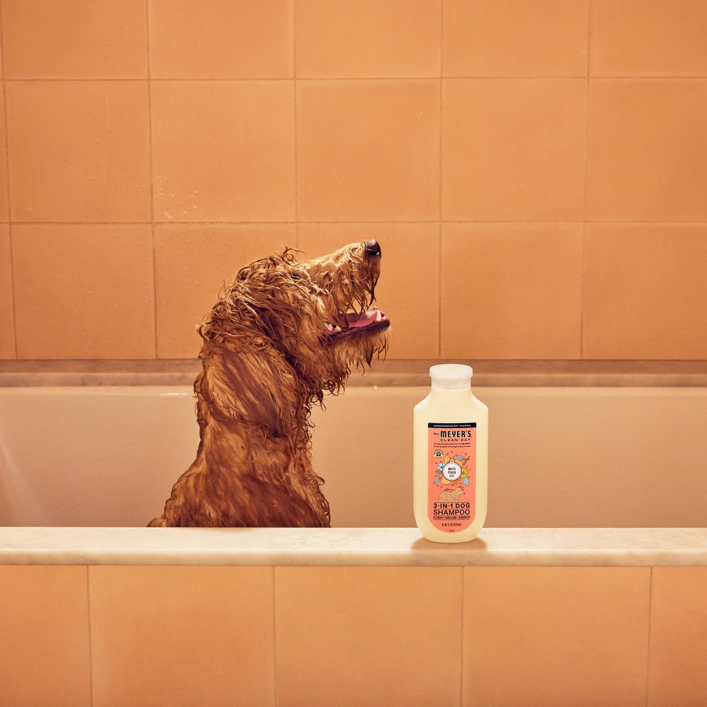 MRS. MEYER'S CLEAN DAY 3 in 1 Dog Shampoo, White Peach Scent, 14oz