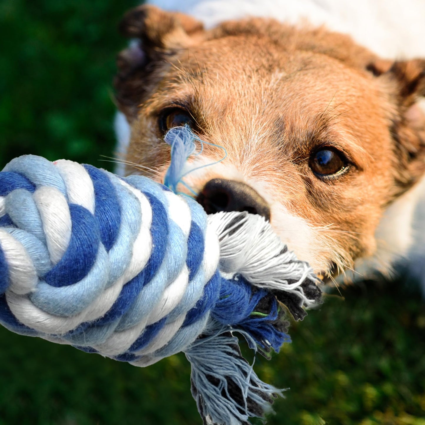 Dog Rope Toy 4 Pack - Puppy Teething Toys for Small Medium Breed - Indestructible Dog Chew Toys for Aggressive Chewers - Cotton Tug of War Dog Toys for Boredom, Teeth Clean