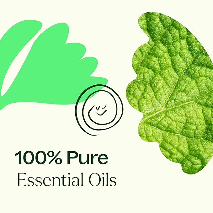 Plant Therapy Gut Aid Essential Oil Blend 30 mL (1 oz) 100% Pure, Undiluted, Natural Aromatherapy for Upset Stomach Relief