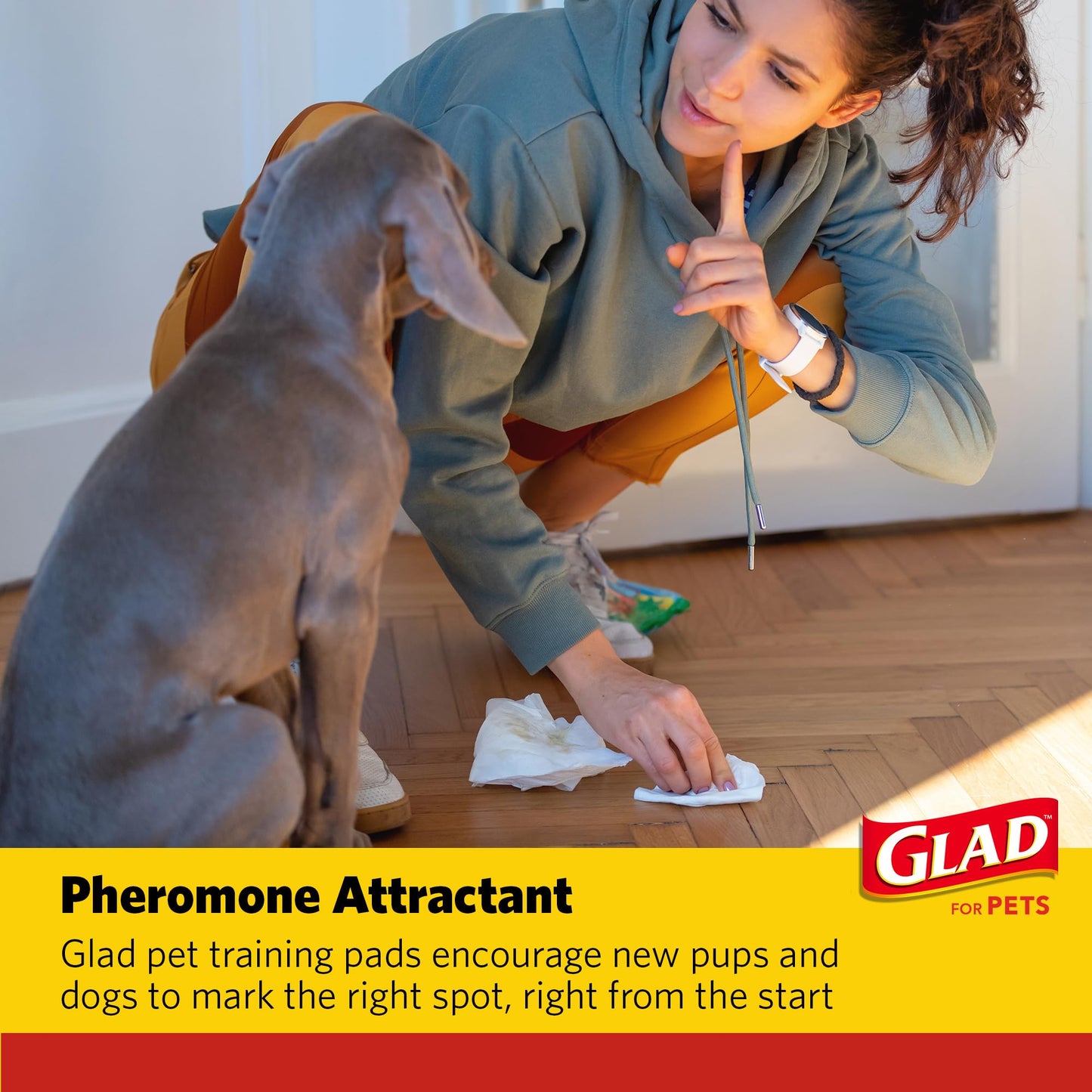 Glad for Pets Day to Night Activated Carbon Puppy Training Pads for Dogs with Wall Protection and Adhesive - Super Absorbent and Leak Proof Disposable Dog Training Pads, 30" x 36", 24 Count