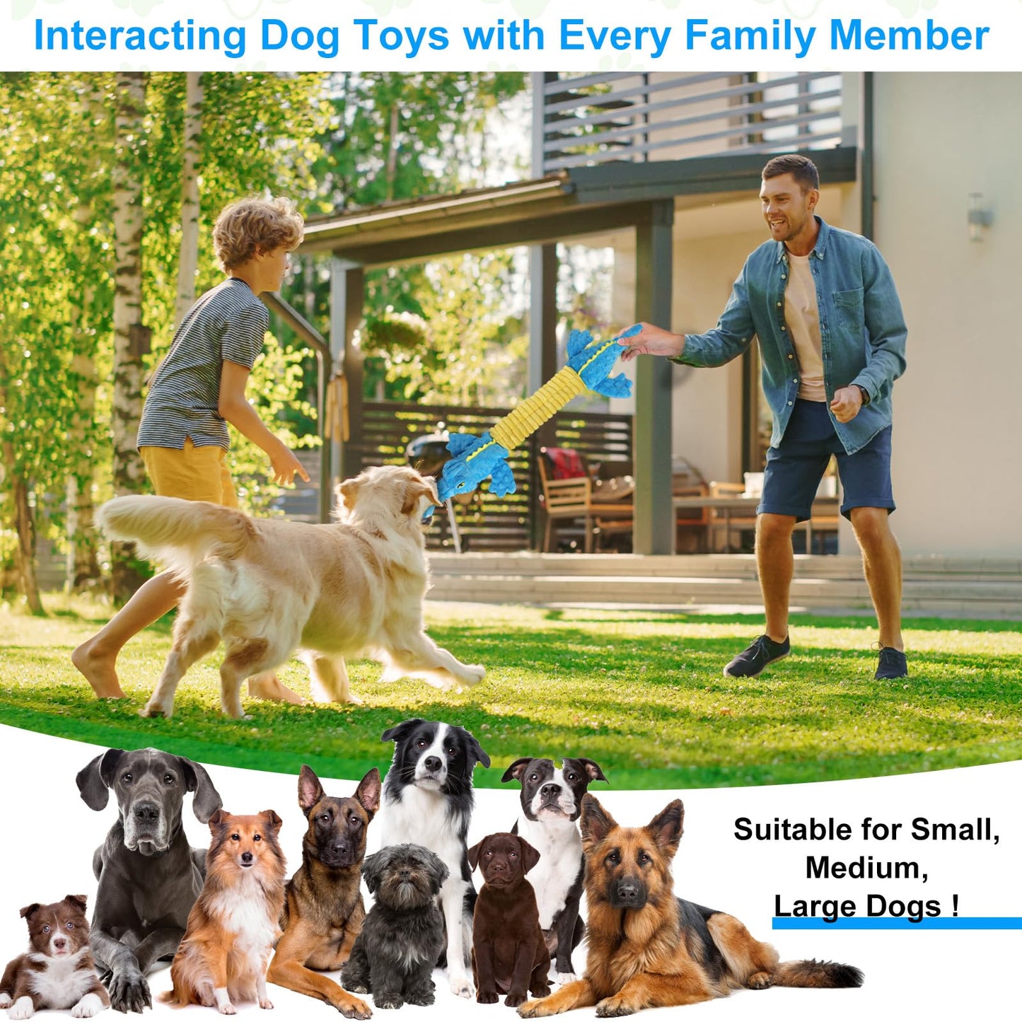 Homounter Dog Toys Cute Crocodile Squeaky Plush Pet Toy for Small to Large Breeds Interactive Chew Toy with Whistle & Crinkle Paper Tough Pet Toys for Aggressive Chewers and Puppies & Dog Lovers