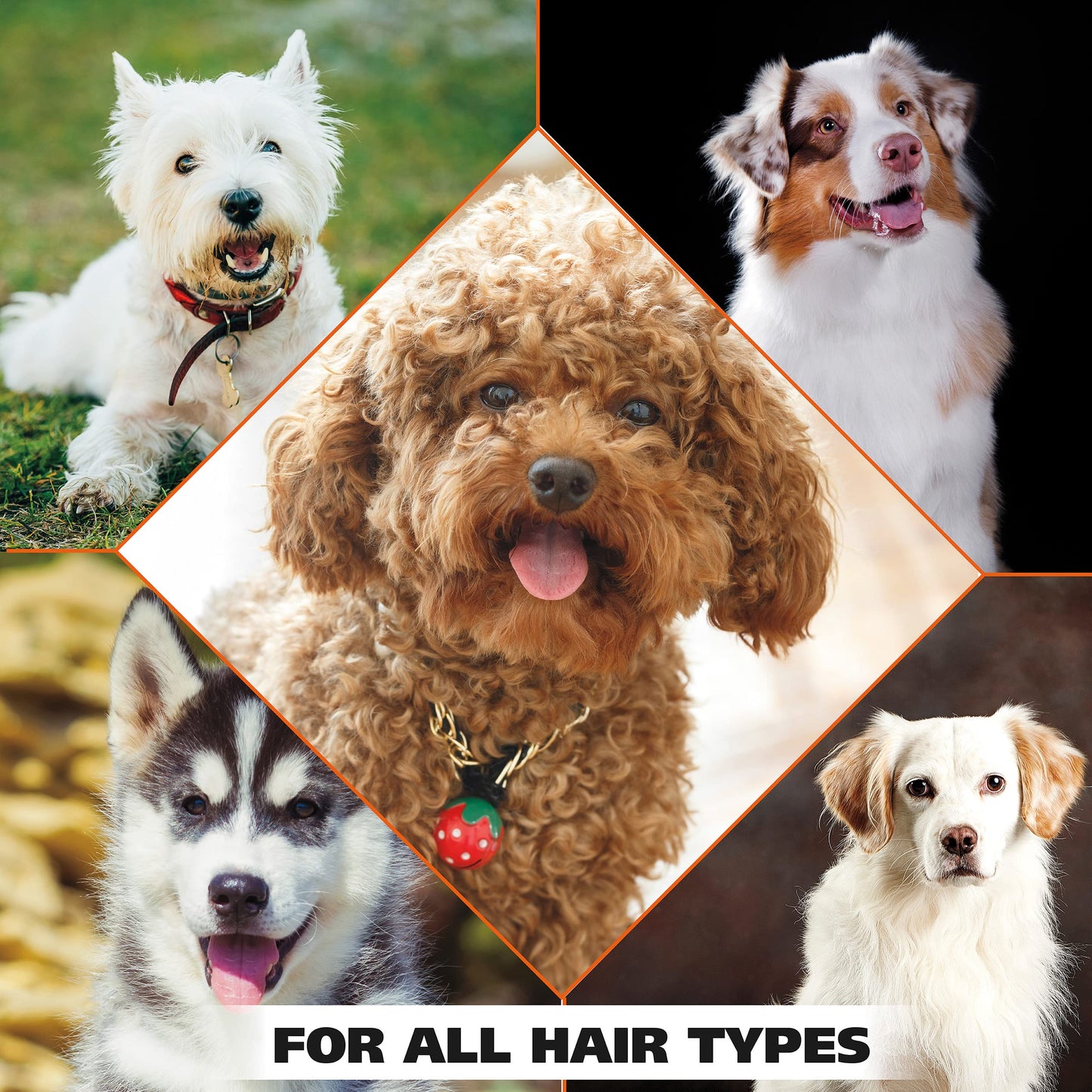 Wahl USA Odor Control Shampoo for Dogs & Pets - Eucalyptus & Spearmint Animal Deodorizer for Cleaning & Freshening – 24 Oz - Model 820003A