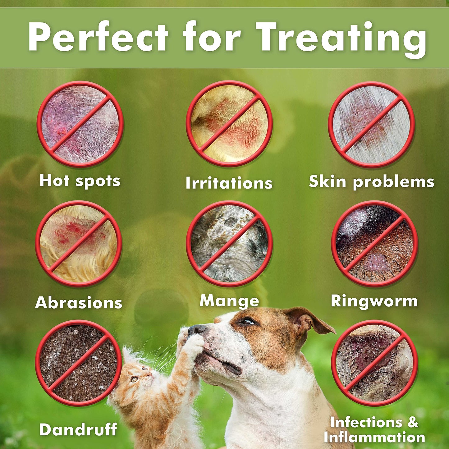 Arava Natural Medicated Dog Shampoo – Anti Yeast Anti Itch Dog Shampoo - Healthy Skin & Coat - First Aid in Hot Spots Ringworm Scrapes Abrasions & Dermatologic Infections - 400ml / 13.5 fl oz