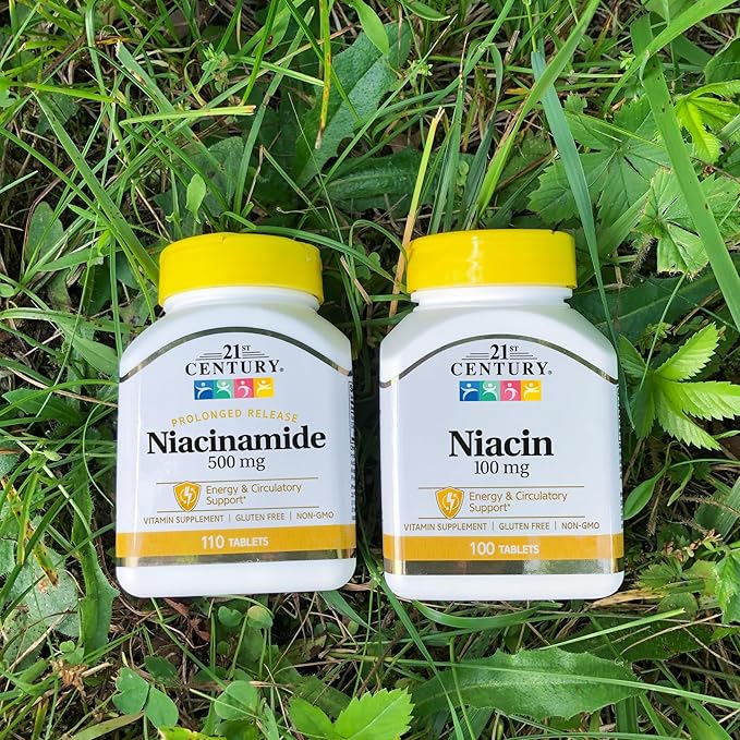 21st Century Niacinamide 500 mg Prolonged Release Tablets, 110 Count