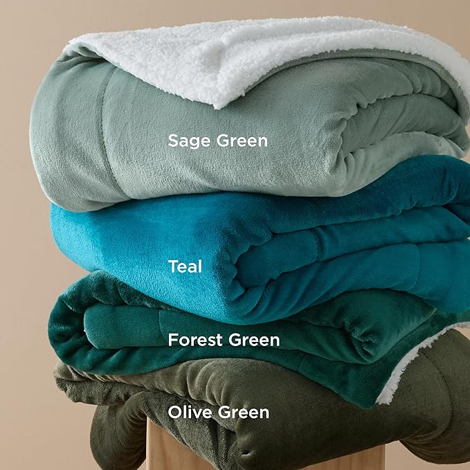 Bedsure Sherpa Fleece Throw Blanket for Couch - Thick and Warm, Soft Fuzzy Plush Throw Blanket for Winter, Teal, 50x60 Inches