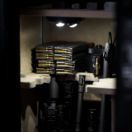 ILLUMISAFE Lights Safe Light - PIR Motion Sensor for Automatic Activation, Two Adjustable LED Lens for Directional Lighting in Gun Safes, Lockers, Cabinets