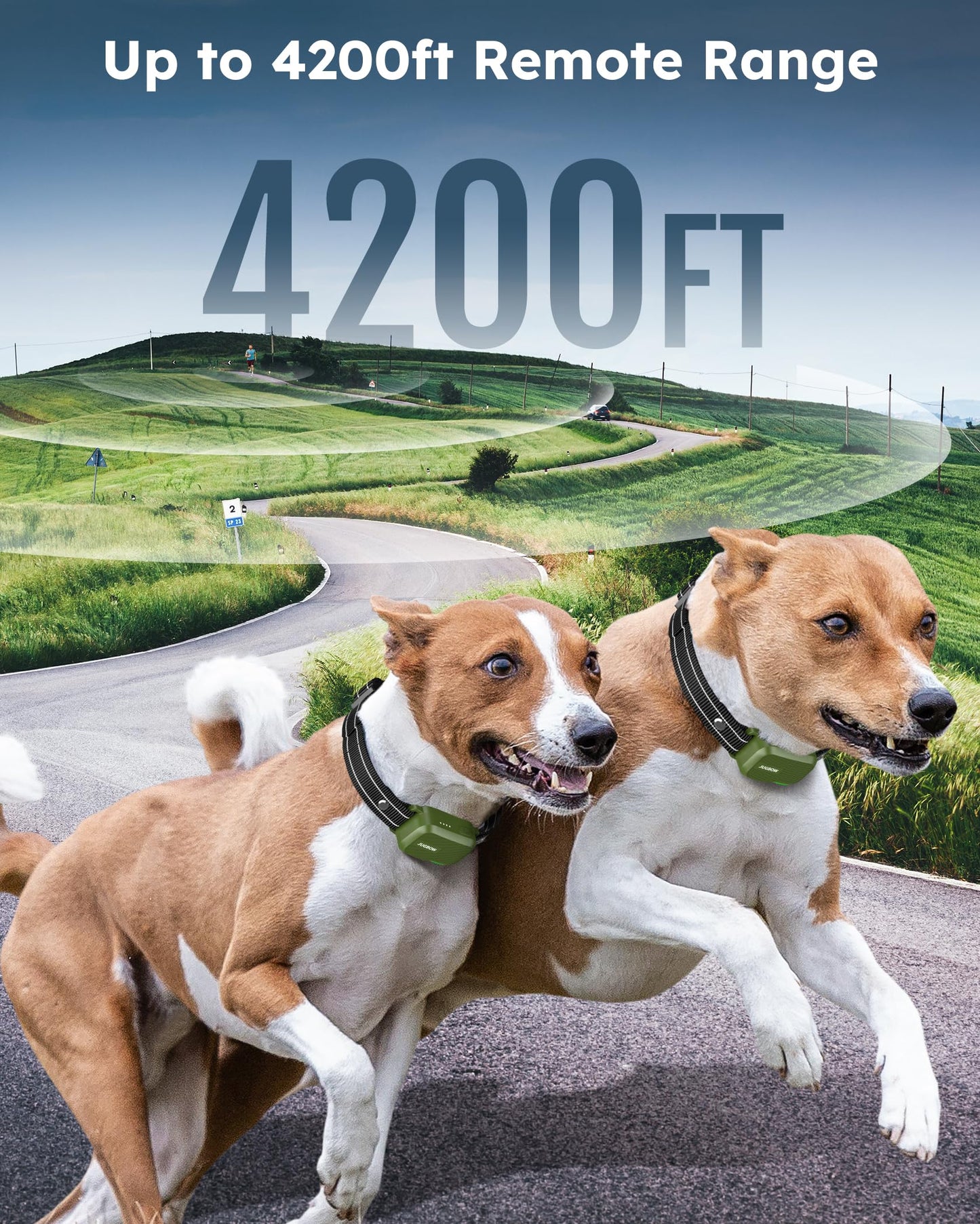 Jugbow Dog Shock Collar 2 Dogs (10-120Lbs) - 4200FT Dog Training Collar with Remote IPX7 Waterproof Electric Collar with 4 Training Modes, Security Lock, Rechargeable e-Collar for All Breeds, Sizes