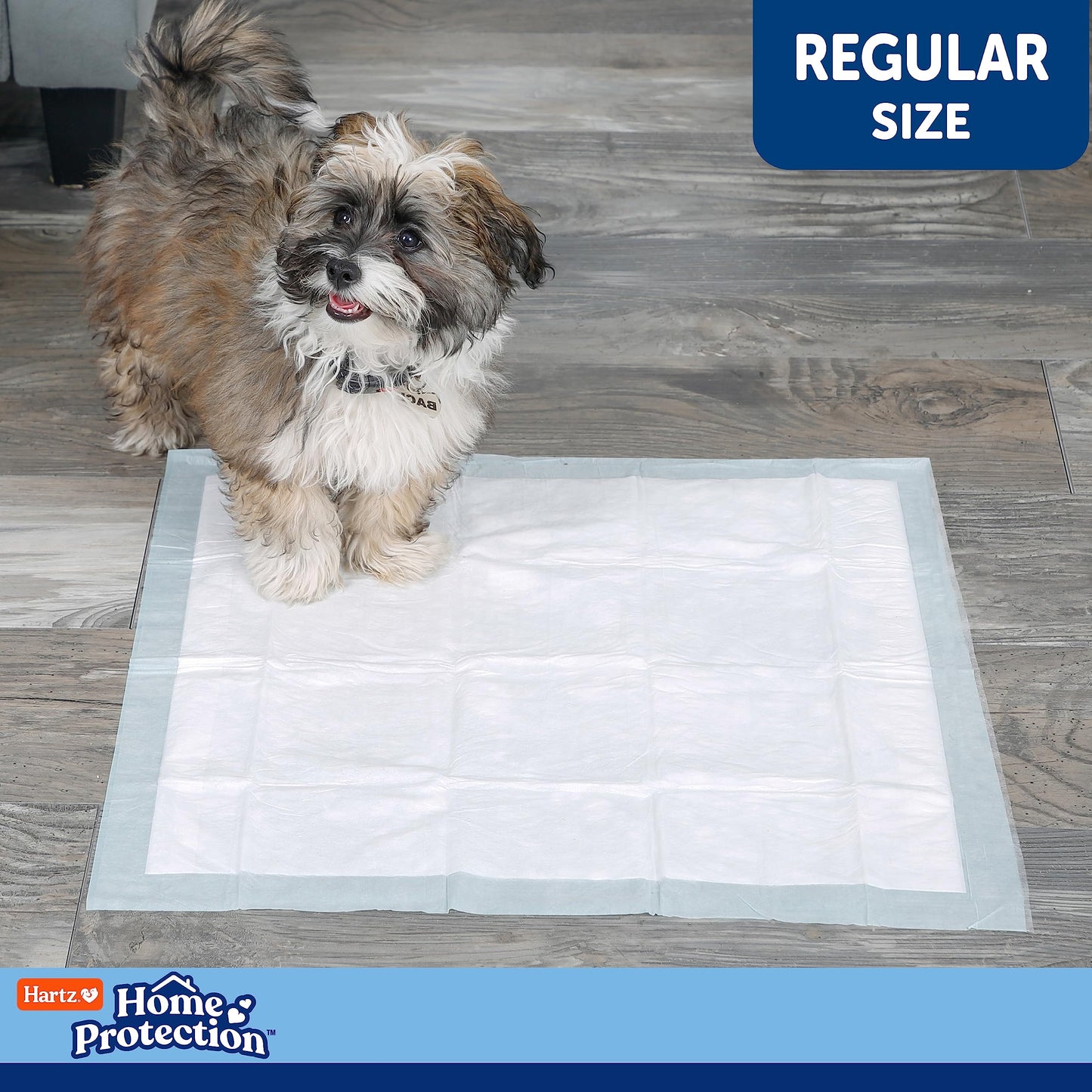 Hartz Home Protection Unscented USA Made Dog Pads, 50 count, Super Absorbent & Won't Leak, Odor Eliminating